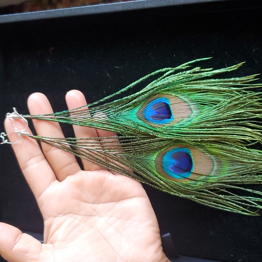 Medium, Peacock Feather 🪶 Earrings